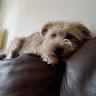 Knockout5111 profile photo