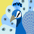 Alicia profile photo