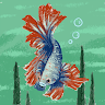 apikali profile photo