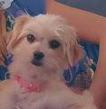 Diana profile photo