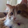 Maddy profile photo