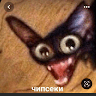 Brooklin profile photo