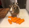 Landen profile photo