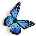 Aiza profile photo
