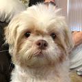 Brenda profile photo