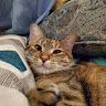 kiley profile photo