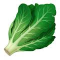leafy_green profile photo