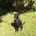 Jazmin profile photo