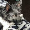 Morgan profile photo