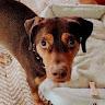 Olive profile photo