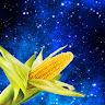 Corn profile photo
