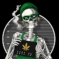 MψX IOS profile photo