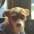 Nuni profile photo