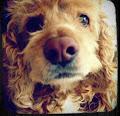 Maren profile photo