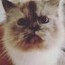 Fanny profile photo