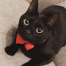 Laifuku profile photo