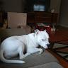 Payton profile photo