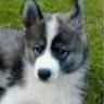 Valona profile photo