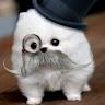 Asel profile photo