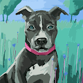 Amy profile photo