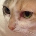AnOddball profile photo