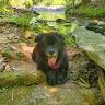 Lorie profile photo