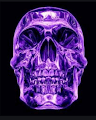 xX echo profile photo