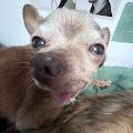 ThatCrazyPanda profile photo