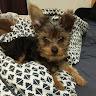 Cassy profile photo