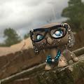 LPS Mayla profile photo