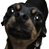 Gloria profile photo