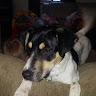 Carter profile photo