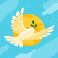 D. profile photo