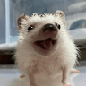 Chloe profile photo
