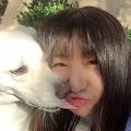 Mengmeng profile photo