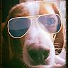 Amy profile photo