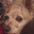 Damaris profile photo