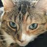 aj profile photo