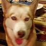 Tere profile photo