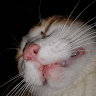Beep profile photo