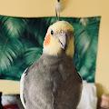 Macey profile photo