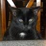 Thomas profile photo