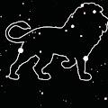 Atlas profile photo
