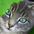 Kiera profile photo