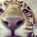 Tiggs profile photo