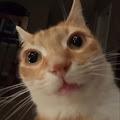kar profile photo