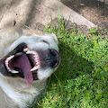 Rory profile photo