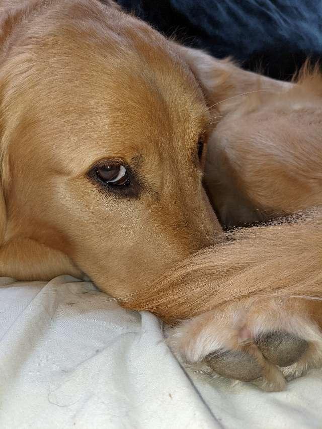 Beverly profile photo