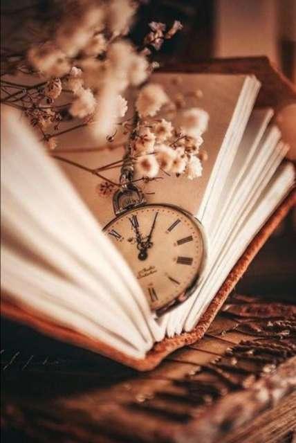 LiteraryLover profile photo