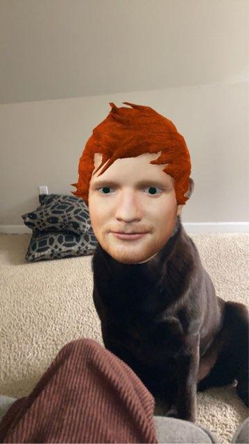 Ayden profile photo